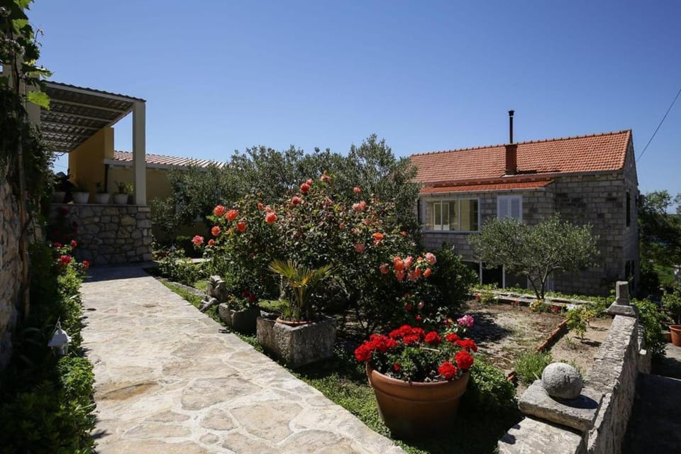 Summer Nest-Studio Apartment Apartment in Dubrovnik-Neretva County