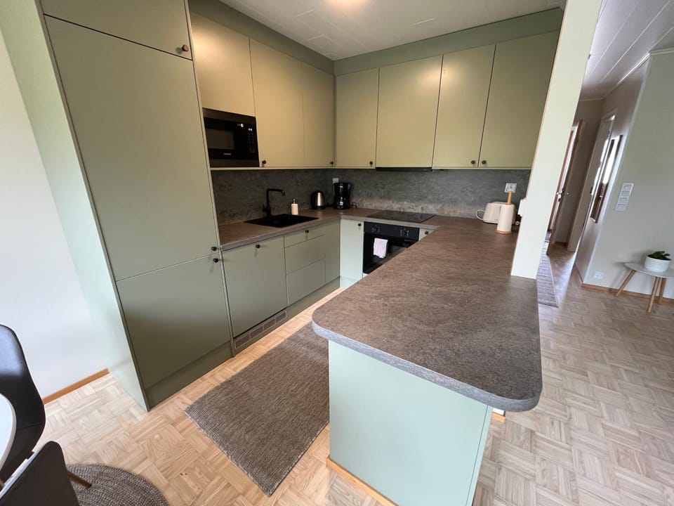 Kitchen or kitchenette, dishwasher, oven, stove