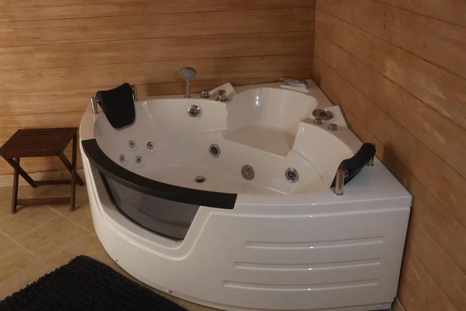 Modern Apartment with Jacuzzi in Novi Sad Center Apartment in Novi Sad
