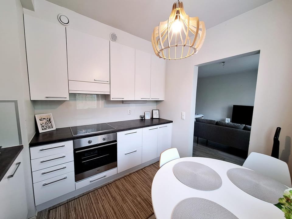 Kitchen or kitchenette, Dining area, dishwasher, stove