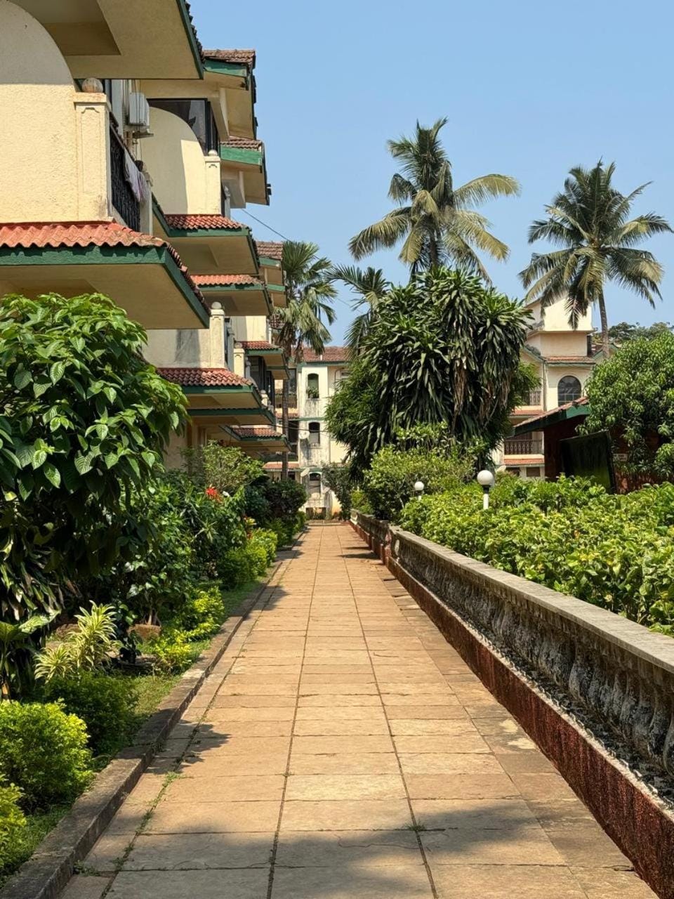 Garden view