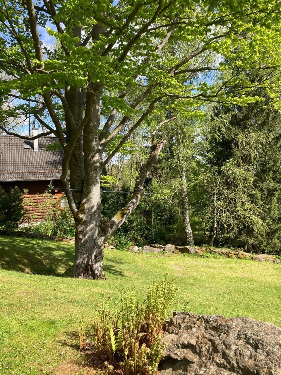 Spring, Natural landscape, Garden, Garden view