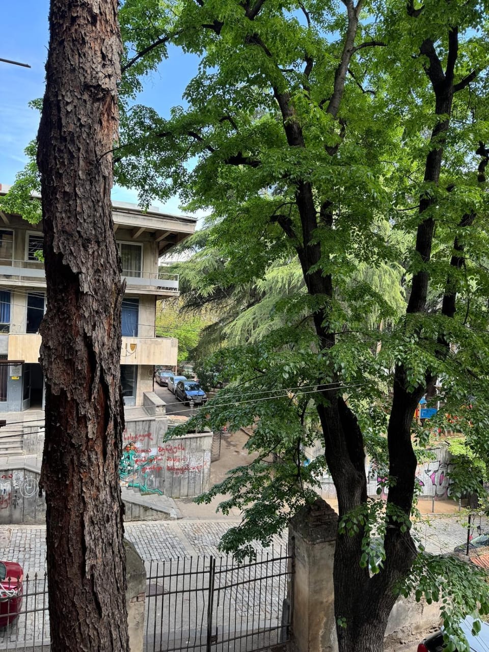 Neighbourhood