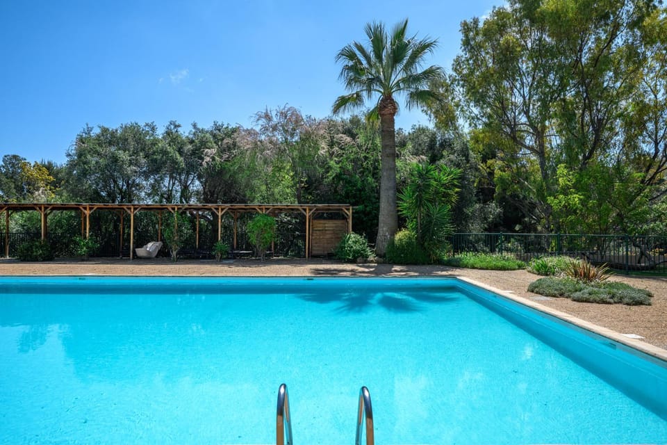 Spring, Day, Garden, Garden view, Pool view, Swimming pool, sunbed