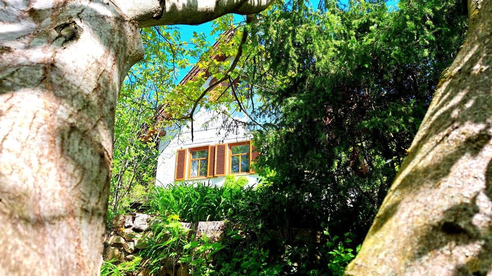 Property building, Garden view