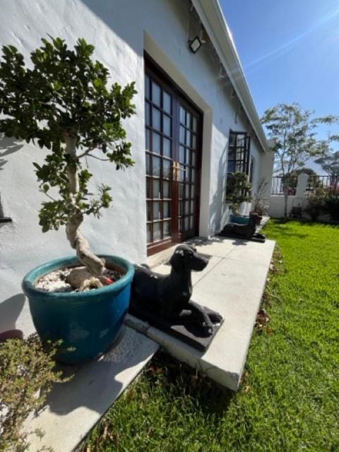 Property building, Garden view