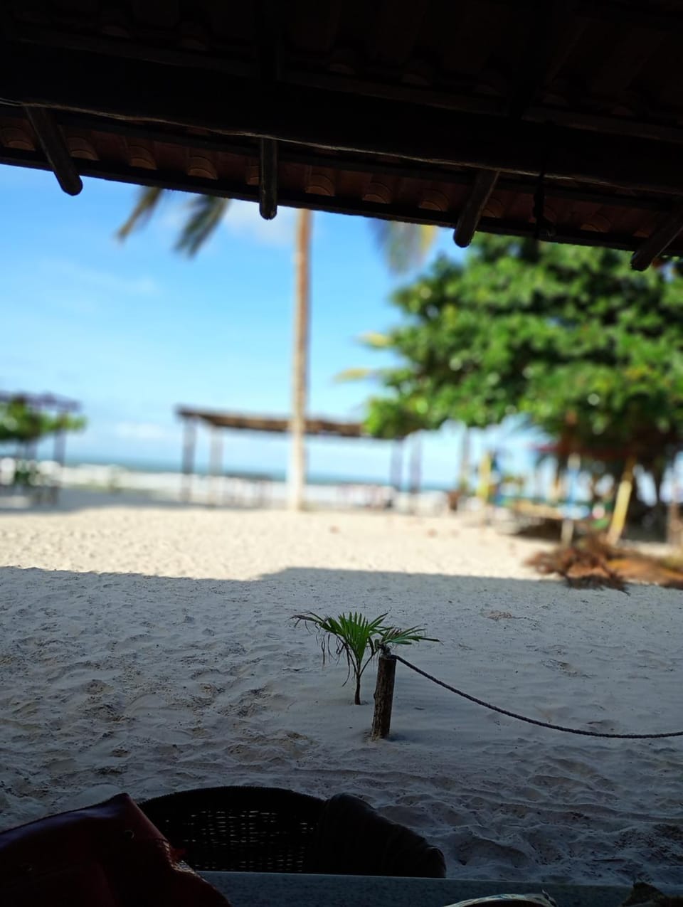 Suítes a beira Mar Bed and Breakfast in State of Bahia