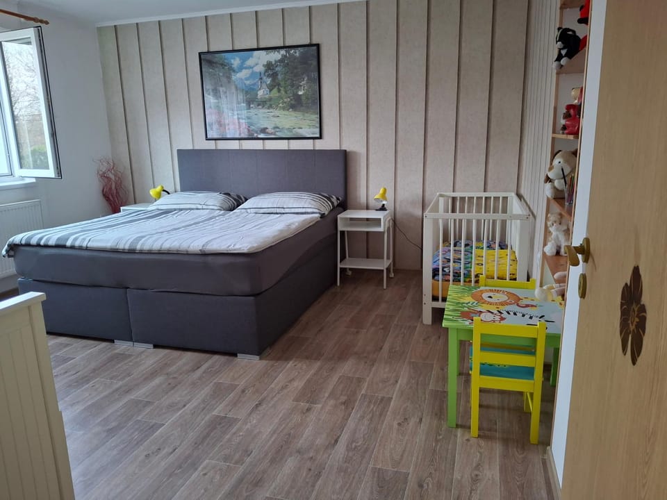 Apartment LIVI Apartment in South Moravian Region