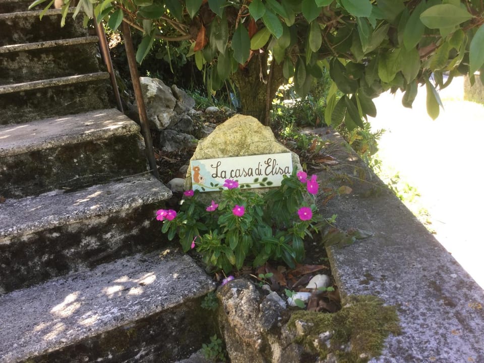 Logo/Certificate/Sign