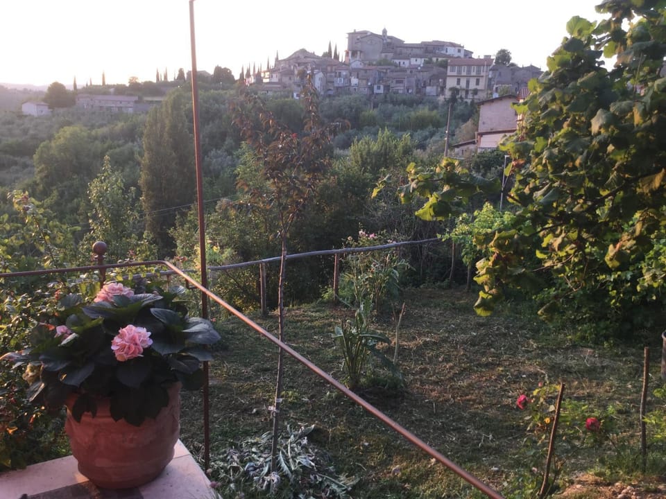 Natural landscape