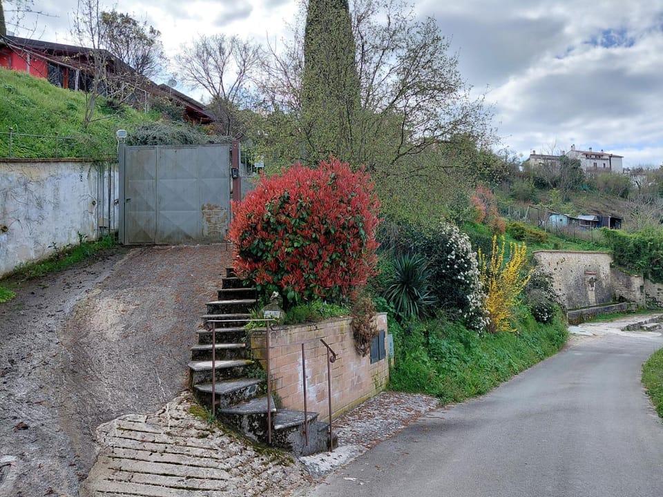 Natural landscape