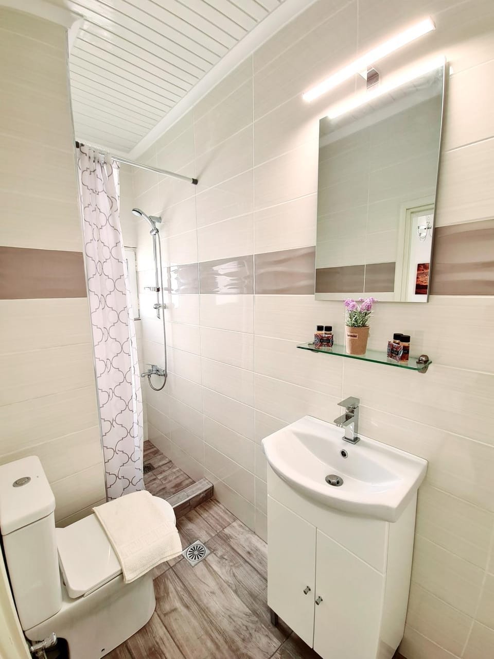 Shower, Toilet