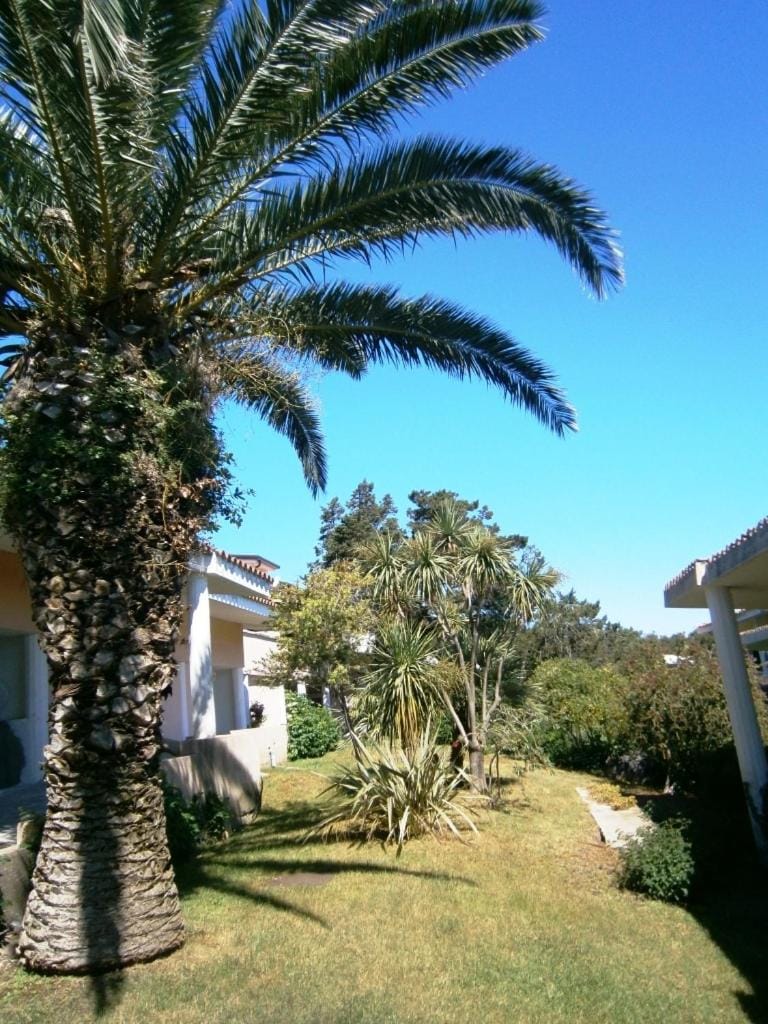 Garden, Garden