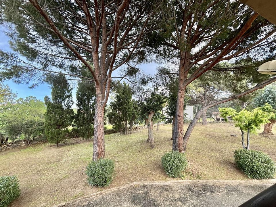 Garden, Garden view
