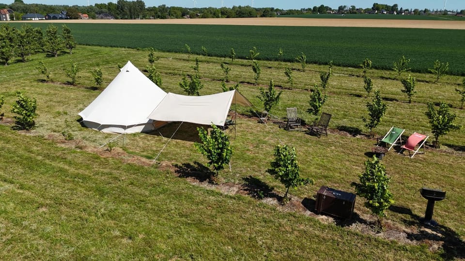 Glamping au verger de la Marsale Luxury tent in Wallonia, Belgium