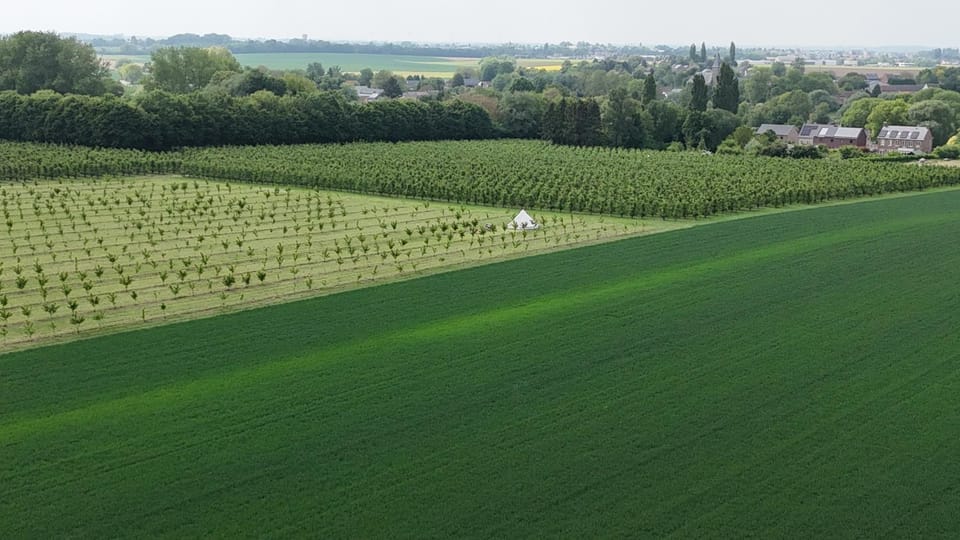 Glamping au verger de la Marsale Luxury tent in Wallonia, Belgium