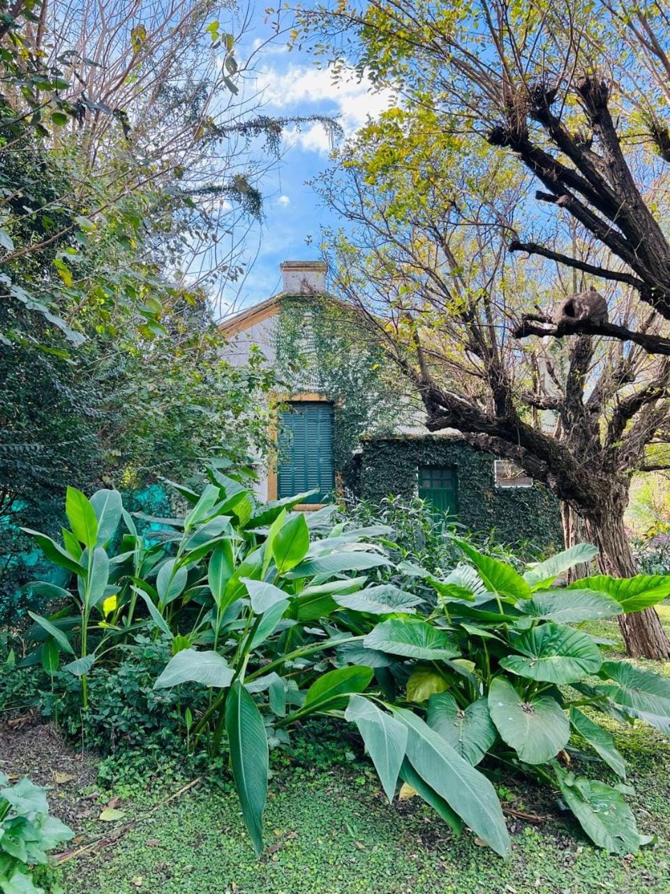 Garden, Garden