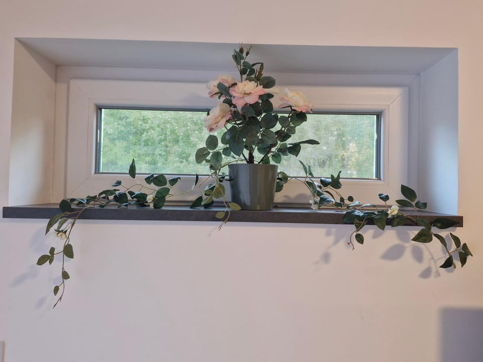 HOLIDAY NEST Family Apart Guest House 26m2 - Mysigt studio för 4 pers Vacation rental in Skåne County