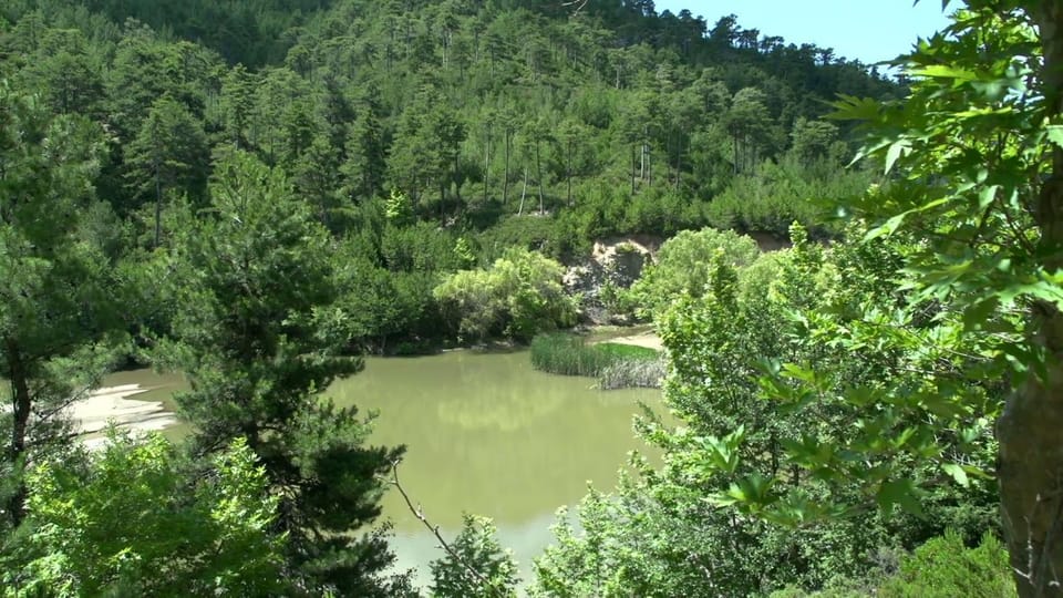 Studios Evrika Apartment in Thasos