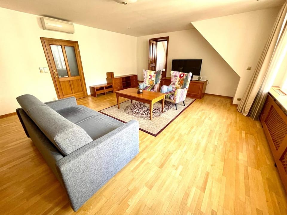 Huge Apartment with Private Parking in Center Apartment in Prague