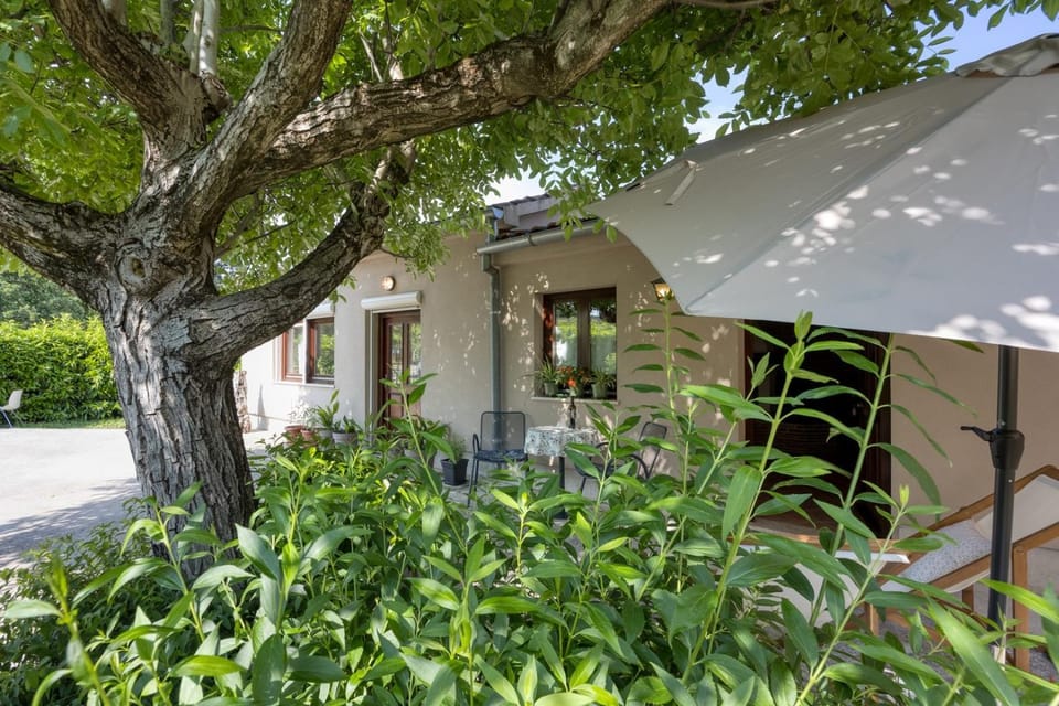 Apartments Beramska Bed and Breakfast in Poreč
