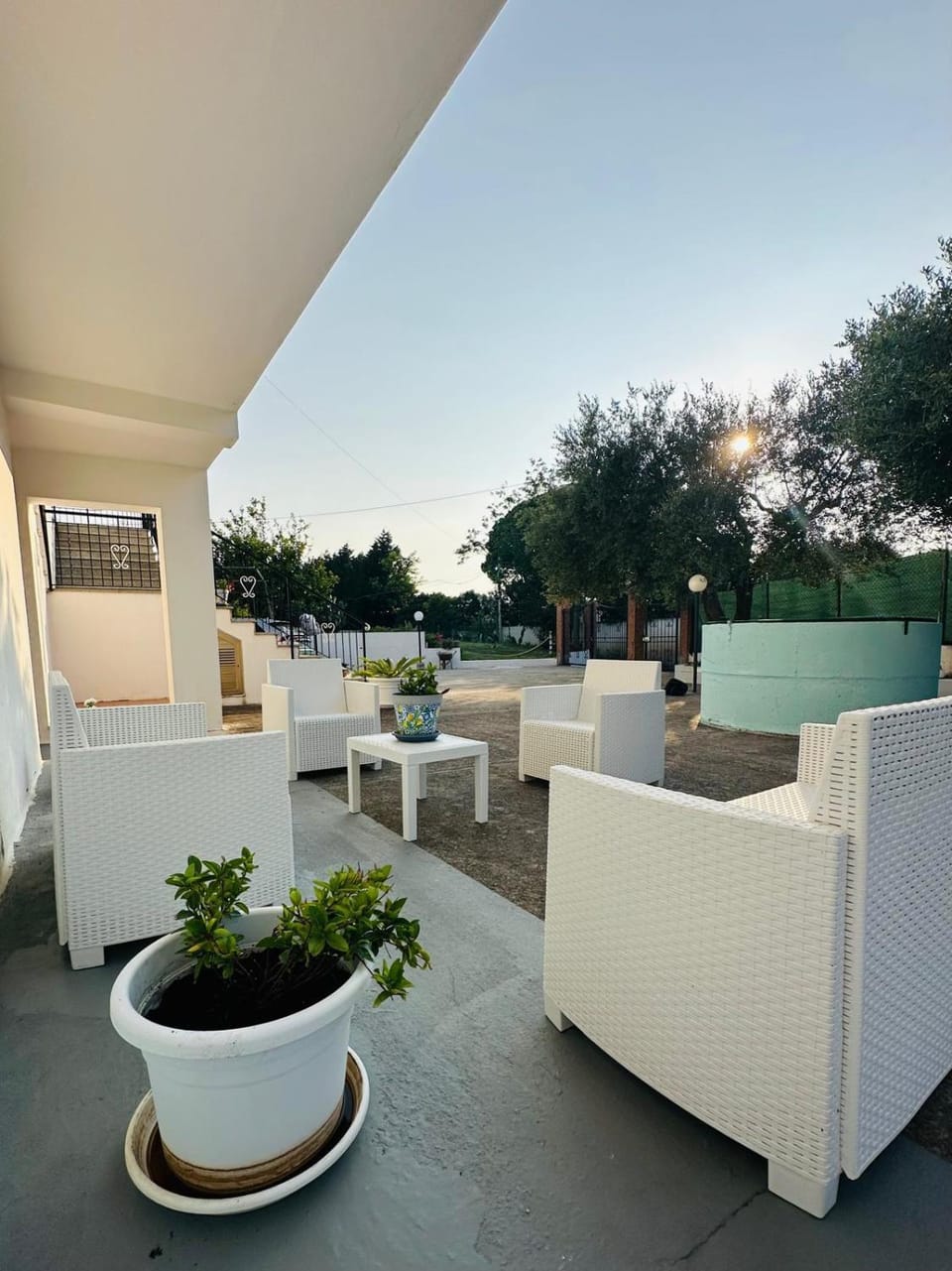 Patio, Day, Garden, Garden view