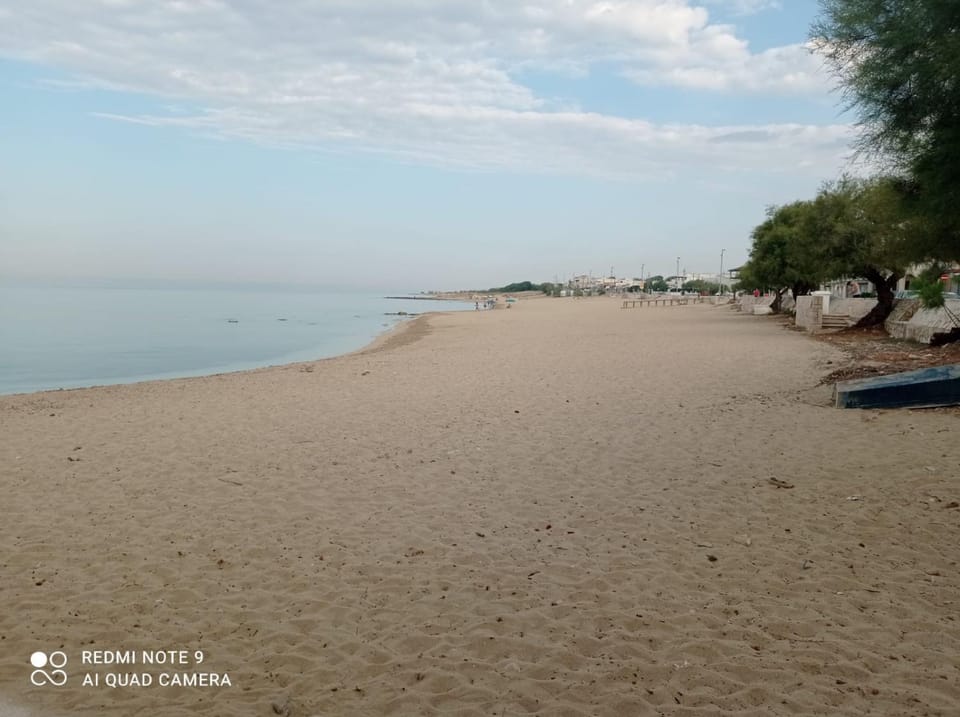 Villa Poseidone Villa in Province of Taranto