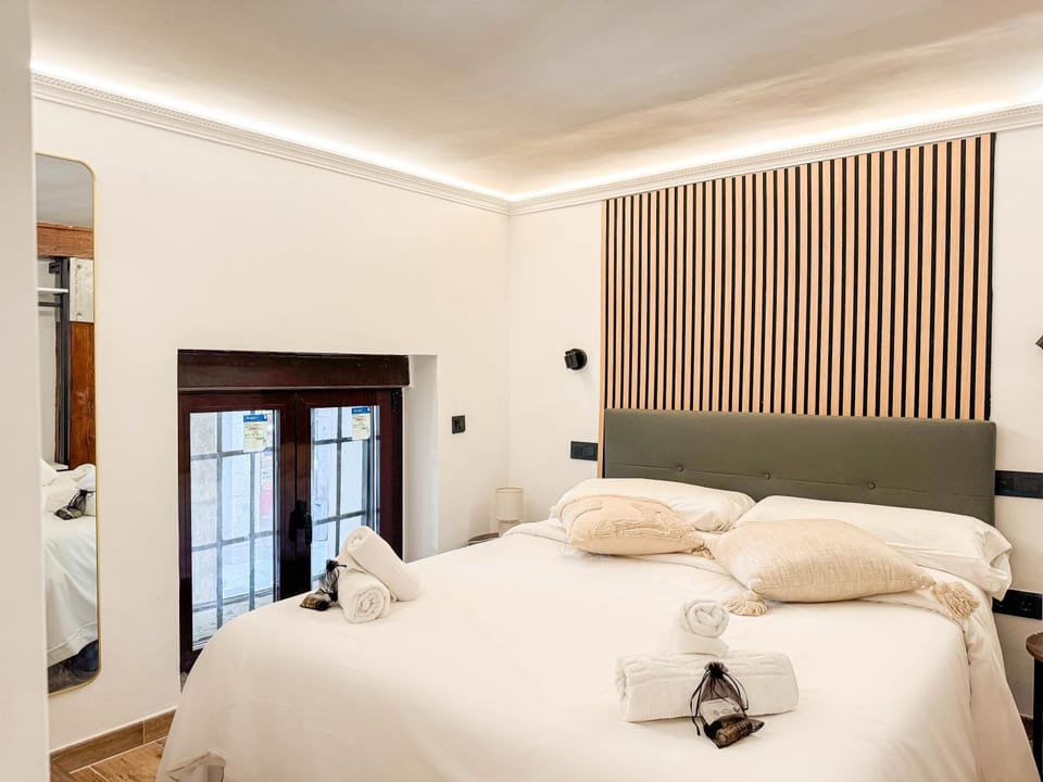 Ciudad Rodrigo Suites Apartment in Centro