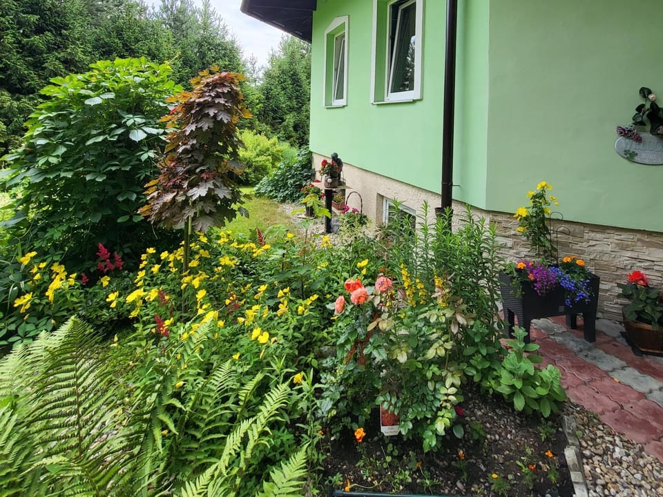 Penzion Vila Elena - štvorapartmánovy dom Apartment in Slovakia