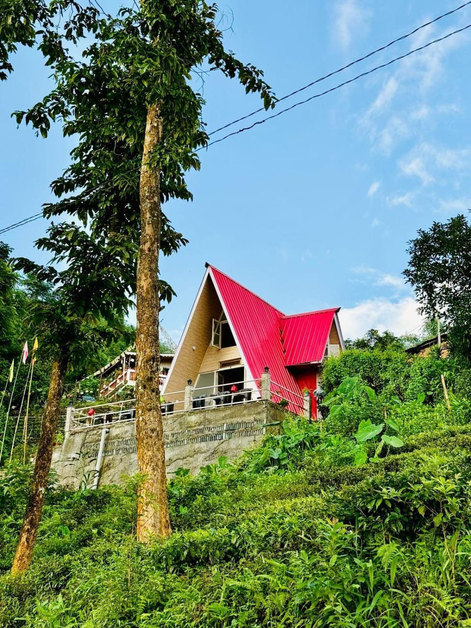 Property building
