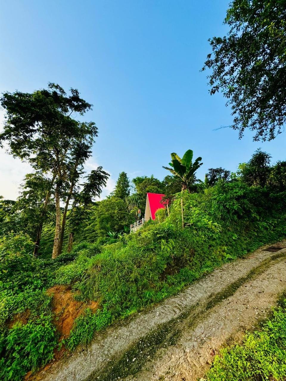 Natural landscape, Garden view