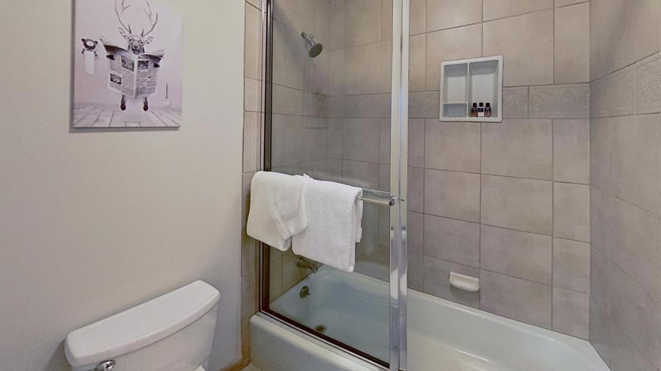 Crestwood 2105 Deluxe 1 Bedroom House in Snowmass Village