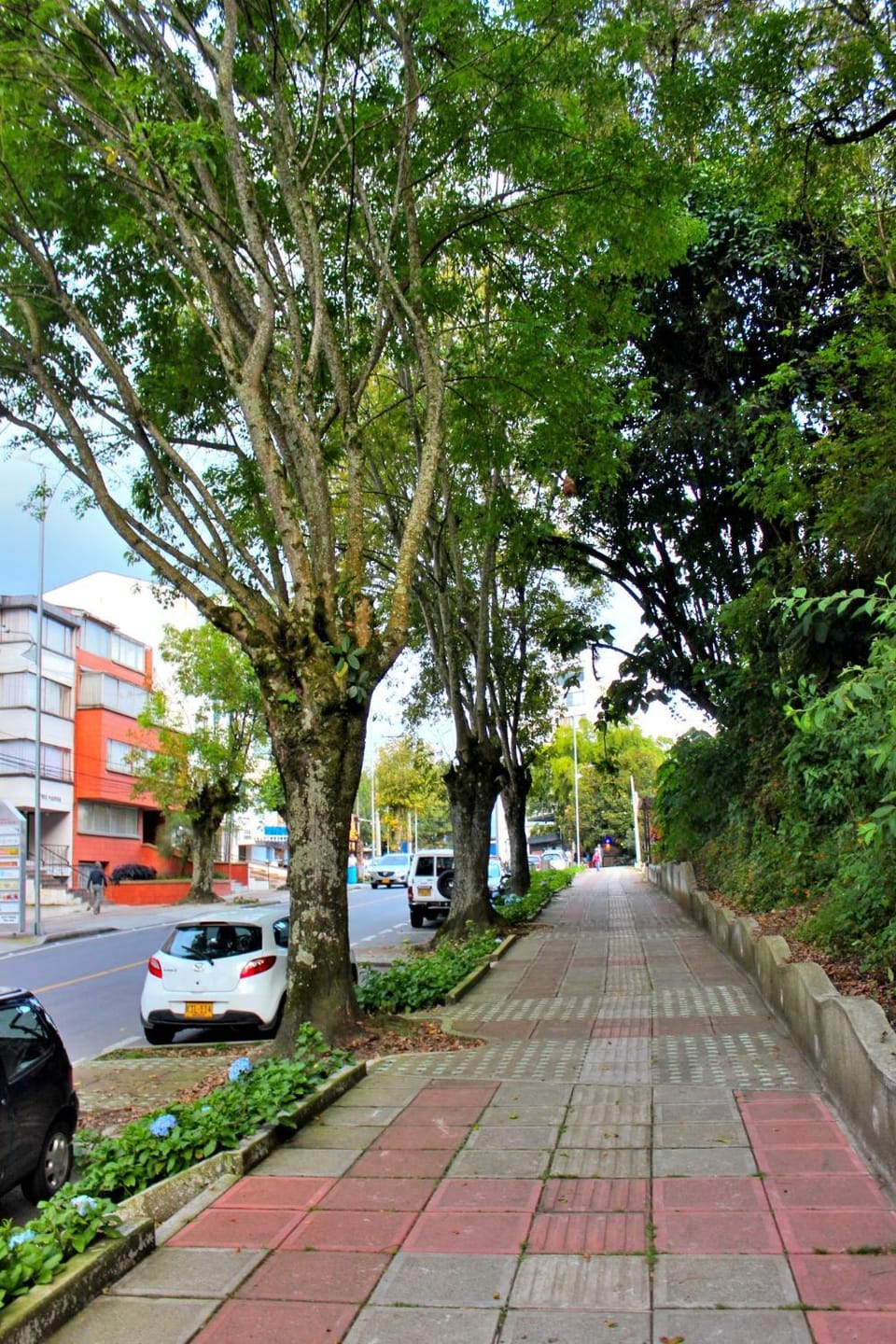 Aquí Tu Apartamento Tranquilo Apartment in Manizales