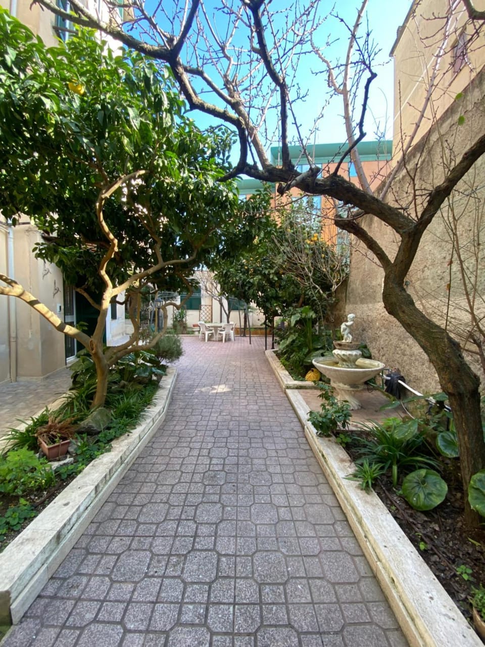 Property building, Spring, Day, Garden, Garden view