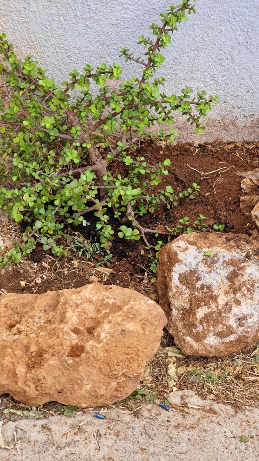 Day, Natural landscape