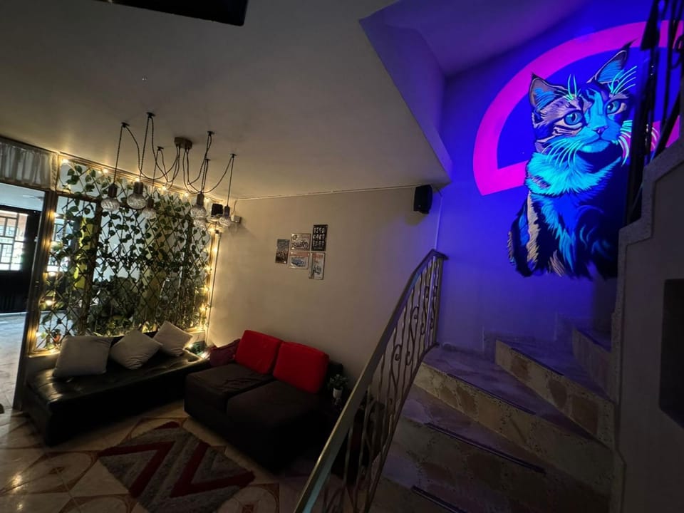 Gato Neon Hostel Bed and Breakfast in Bogota