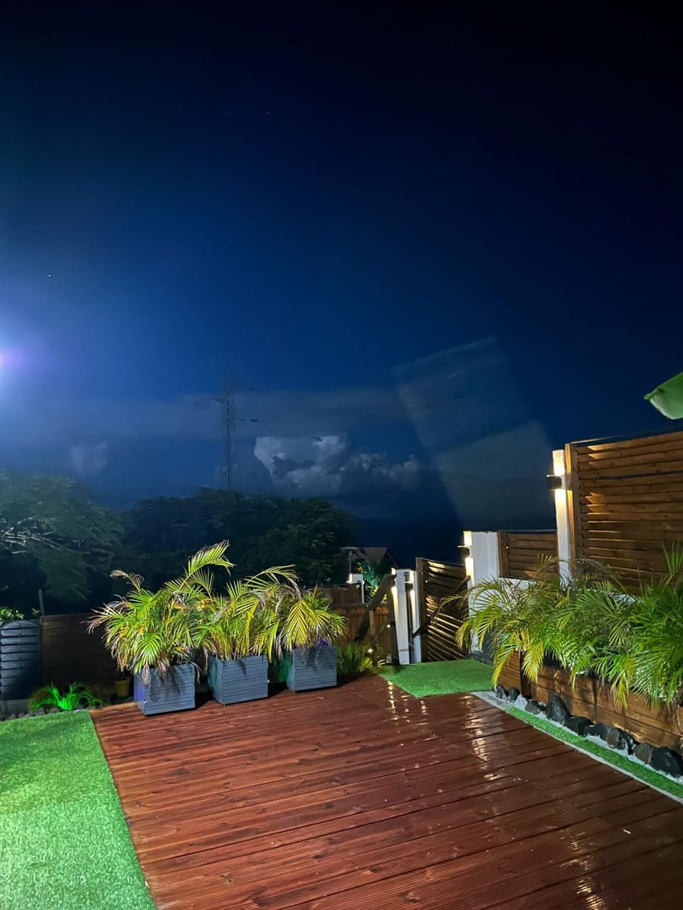 Night, Garden