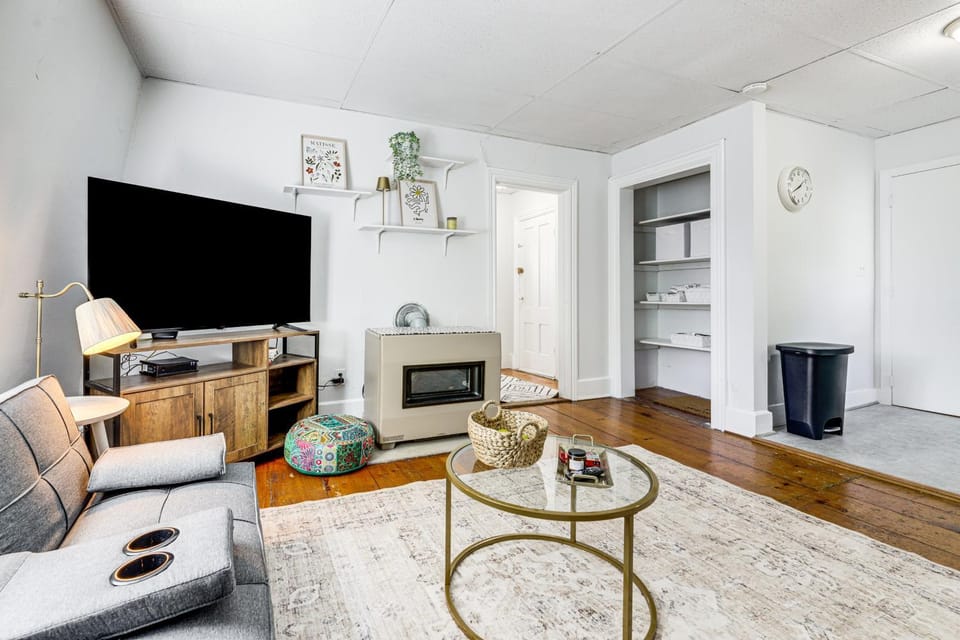Explore Dtwn, Parks & Colleges: Cozy Worcester Apt Apartment in Worcester