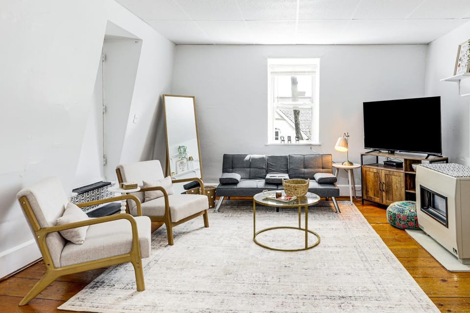 Explore Dtwn, Parks & Colleges: Cozy Worcester Apt Apartment in Worcester