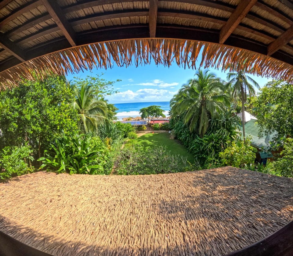 Red Frog Bungalows Ocean Resort Hotel in Bastimentos Island
