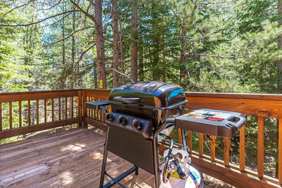 Cedar Chateau with Game Room & HOA Access House in Truckee