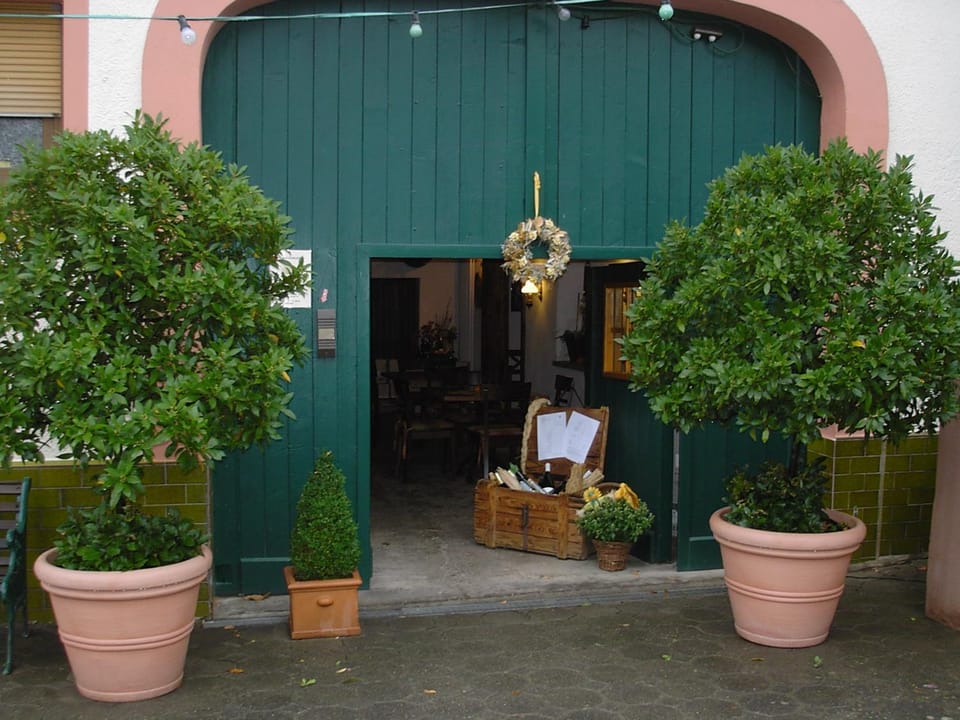 Weingut Endesfelder Apartment in Trier-Saarburg