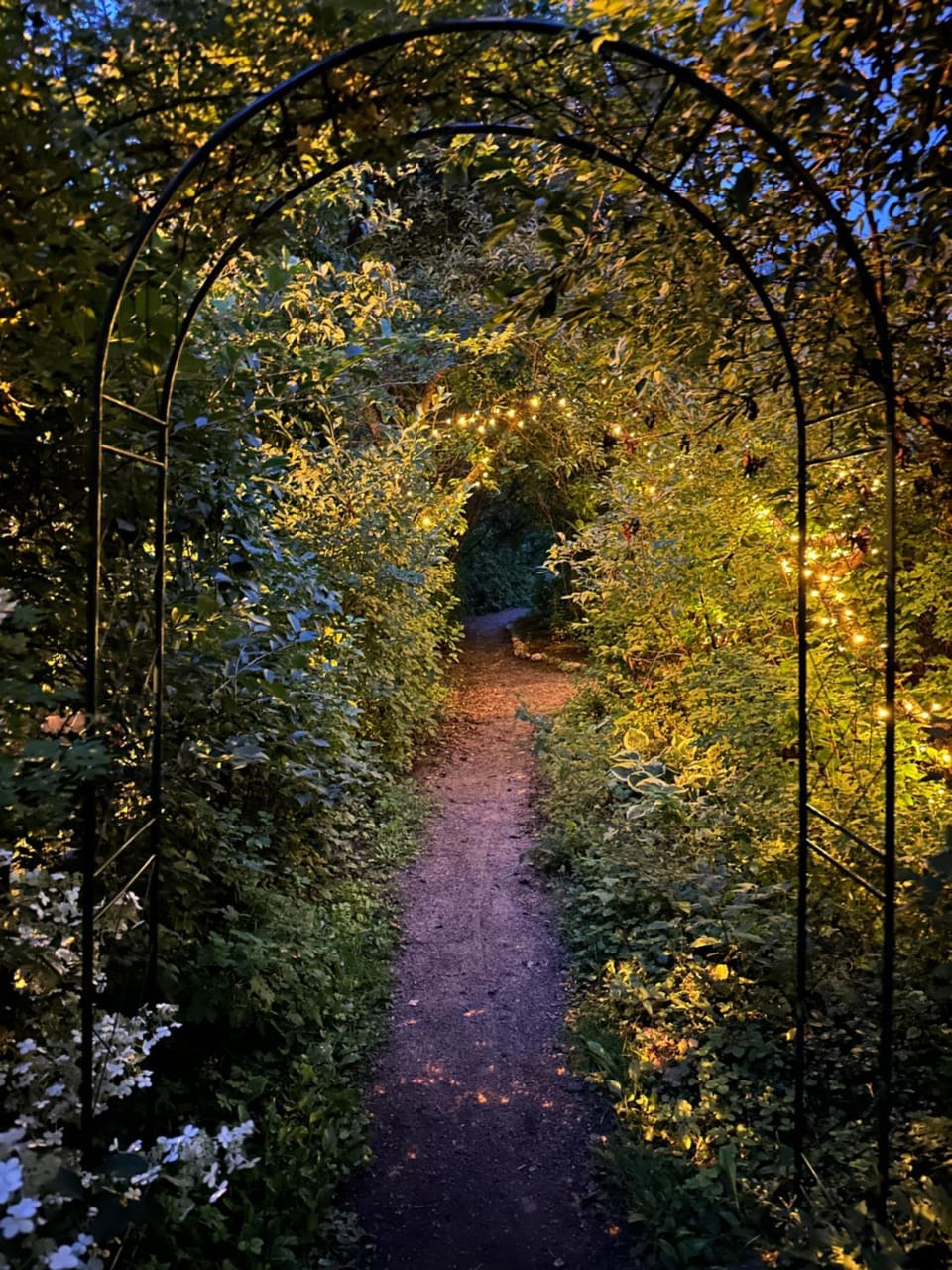 Garden view