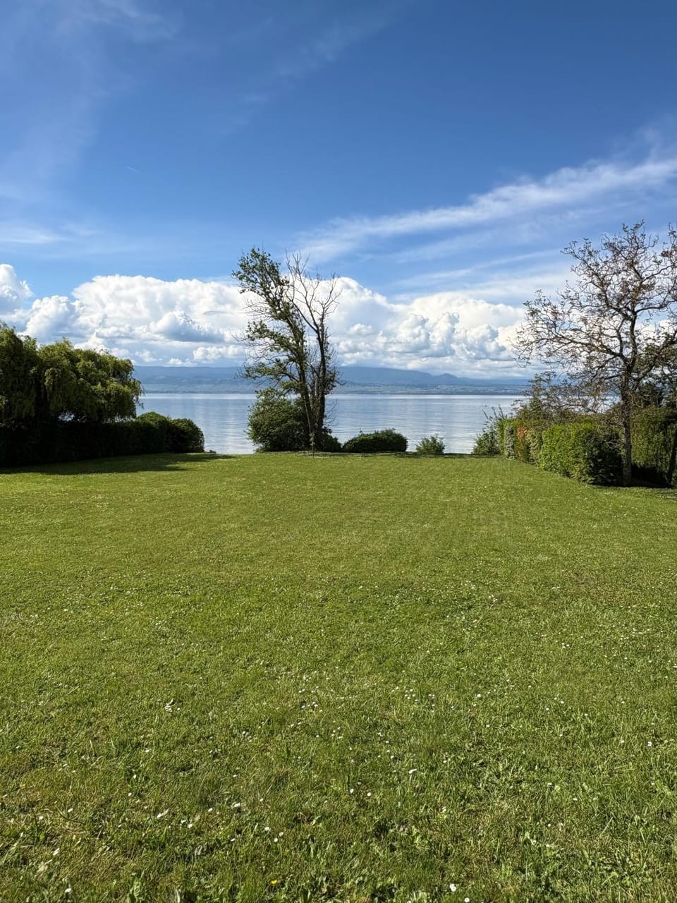 Lake view