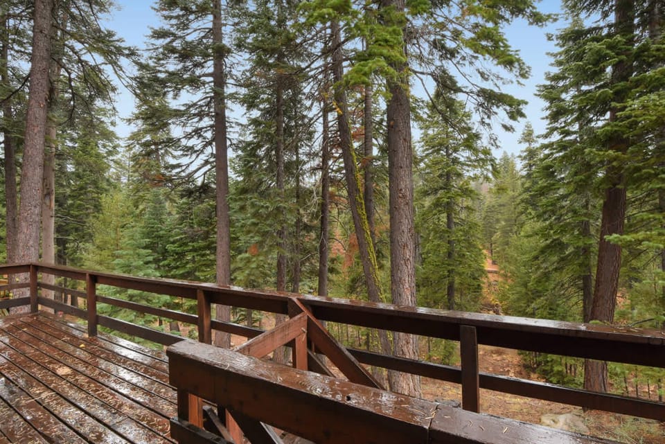 Lake Tahoe Treasure Minutes from Beach & Skiing House in Lake Tahoe