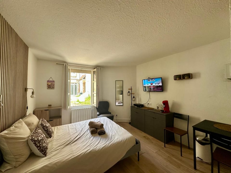 Studio coeur de Dijon Apartment in Dijon