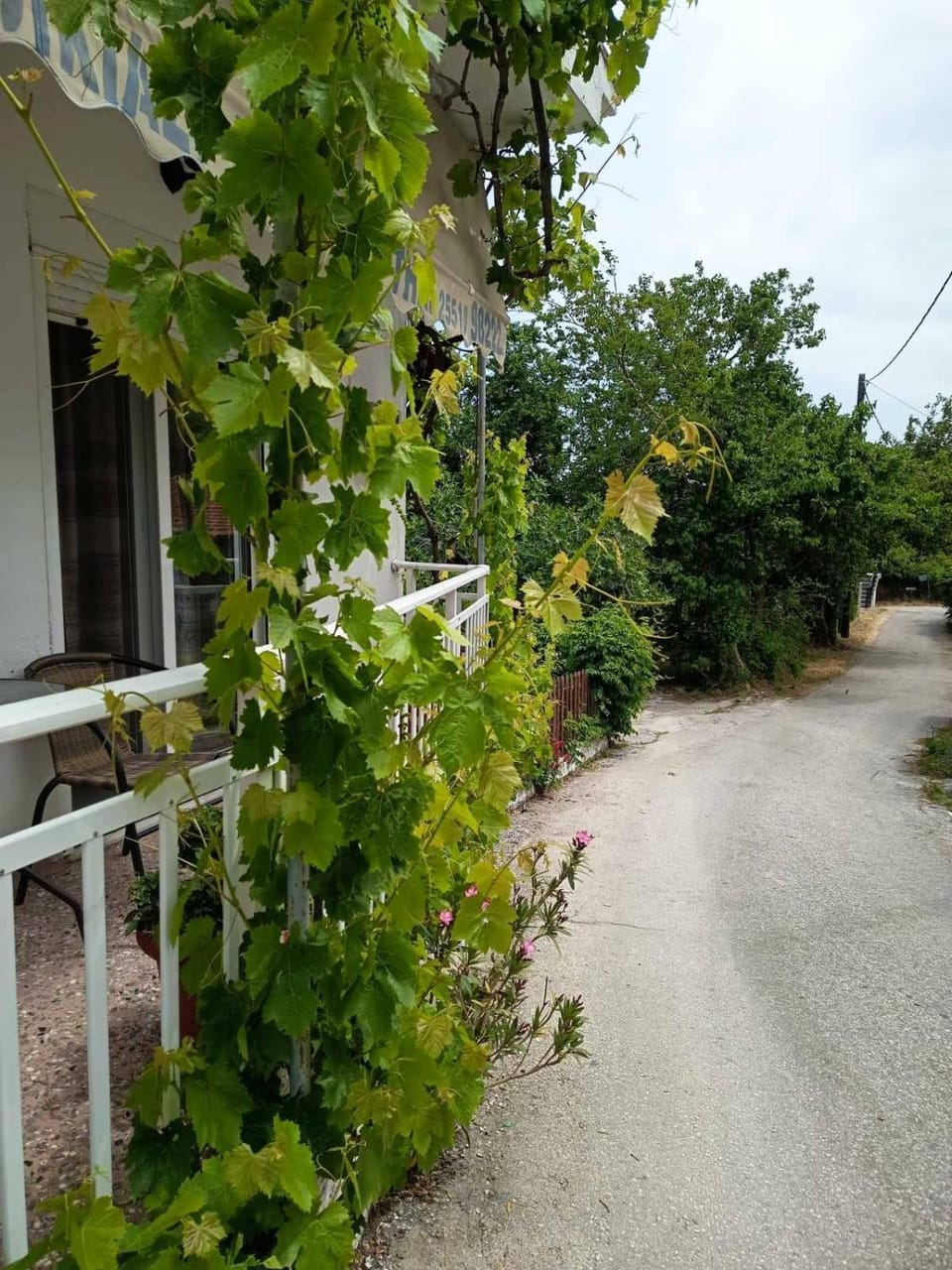 Eleni's Rooms Bed and Breakfast in Evros, Greece