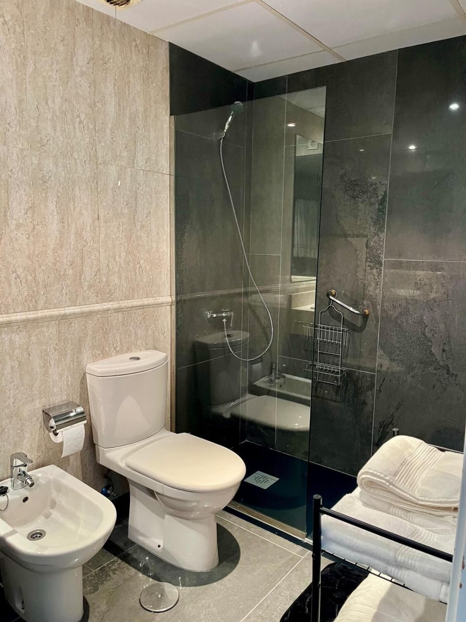 Shower, Bathroom, bidet