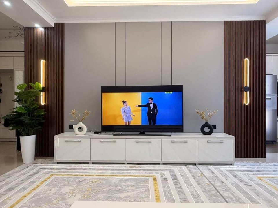 TV and multimedia
