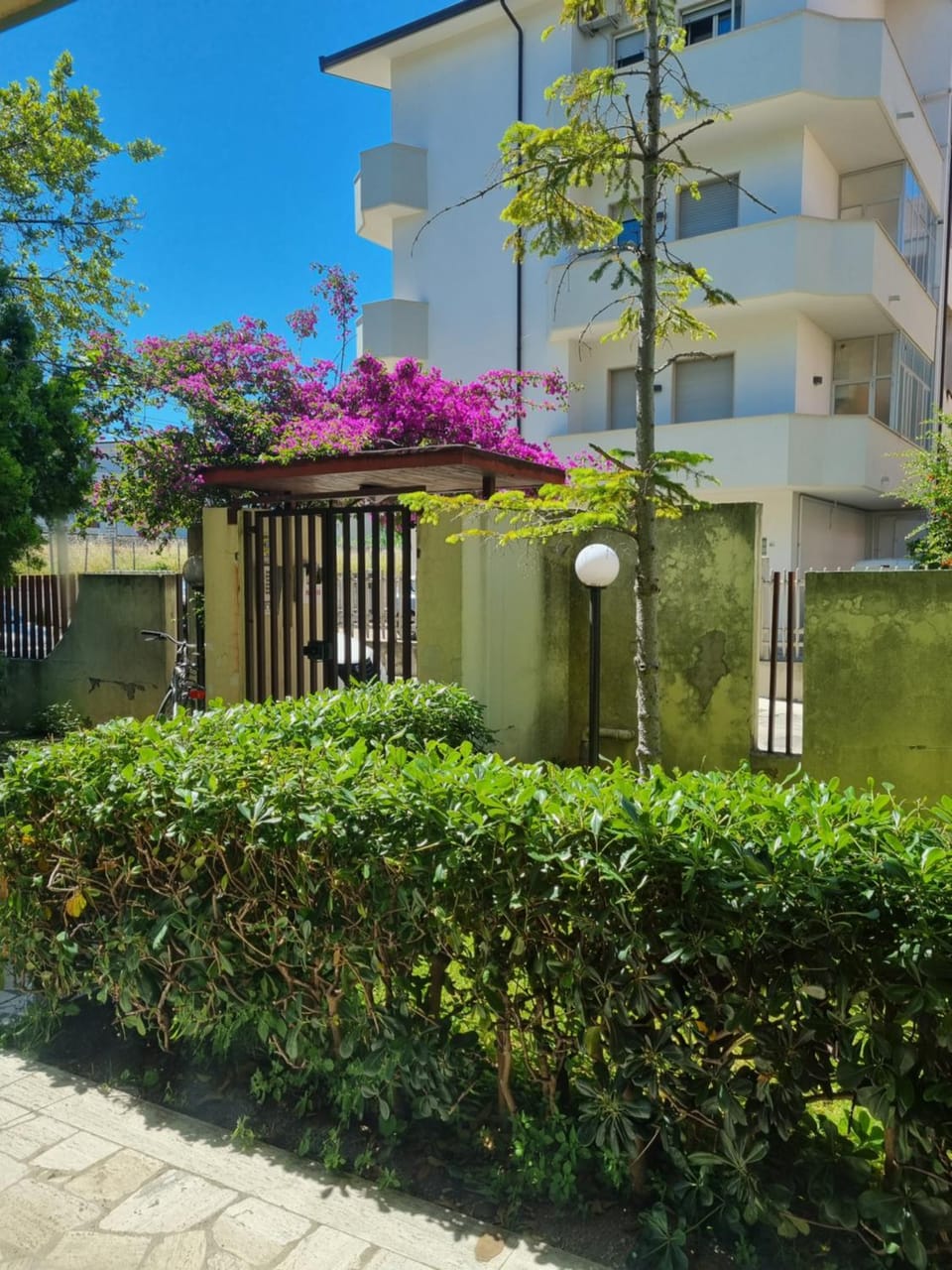 Garden view